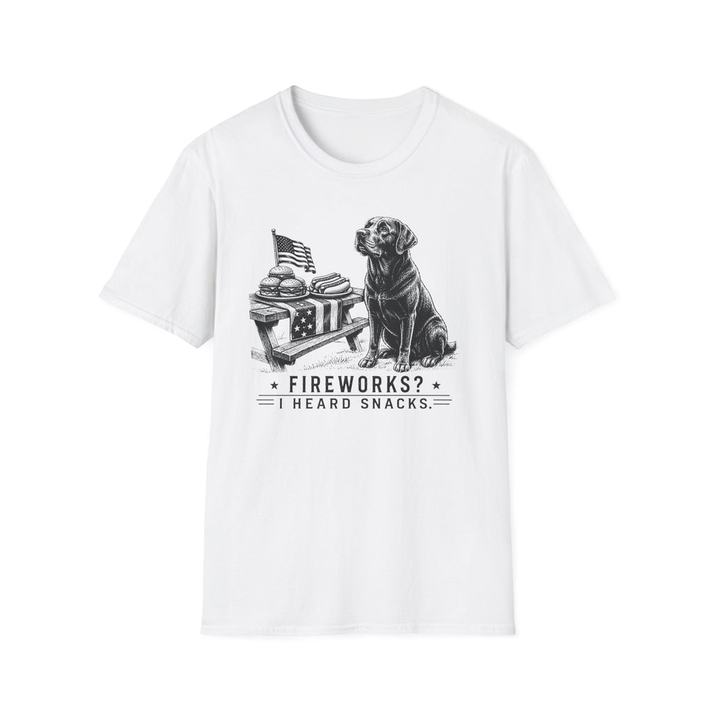 Fireworks? T-Shirt