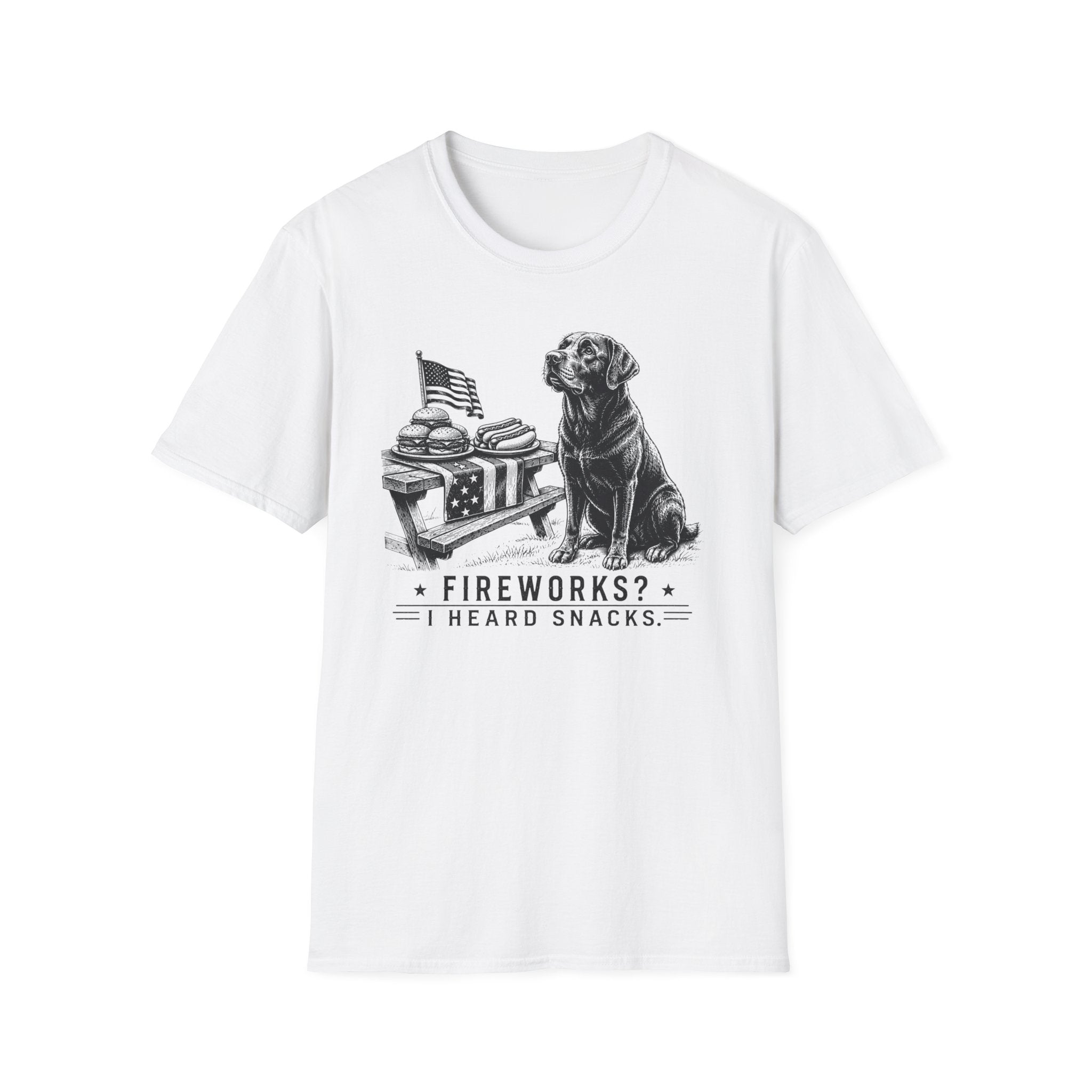 Fireworks? T-Shirt