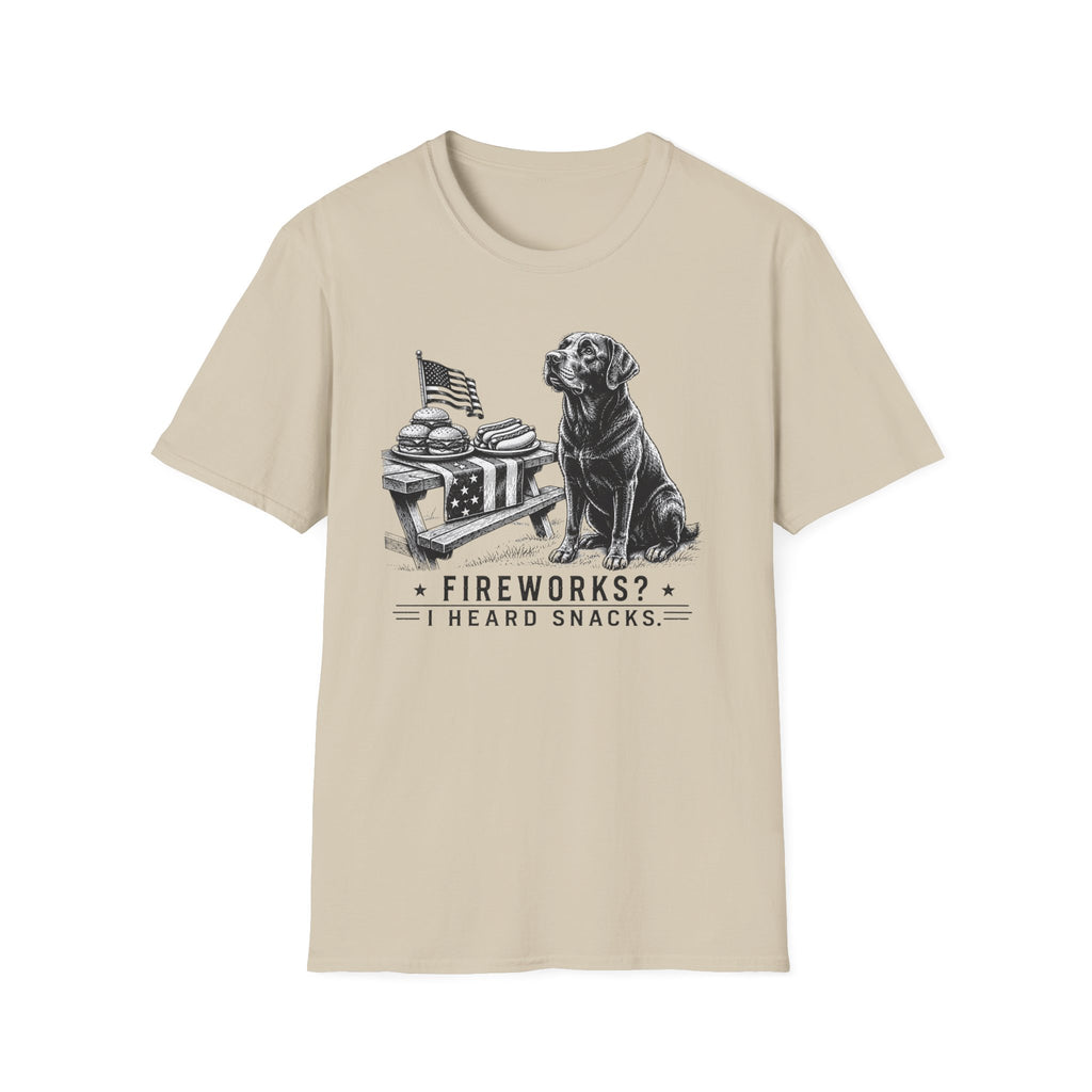 Fireworks? T-Shirt