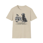 Fireworks? T-Shirt