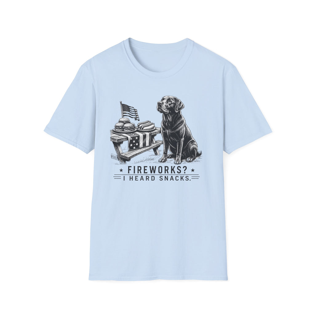 Fireworks? T-Shirt