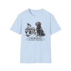 Fireworks? T-Shirt