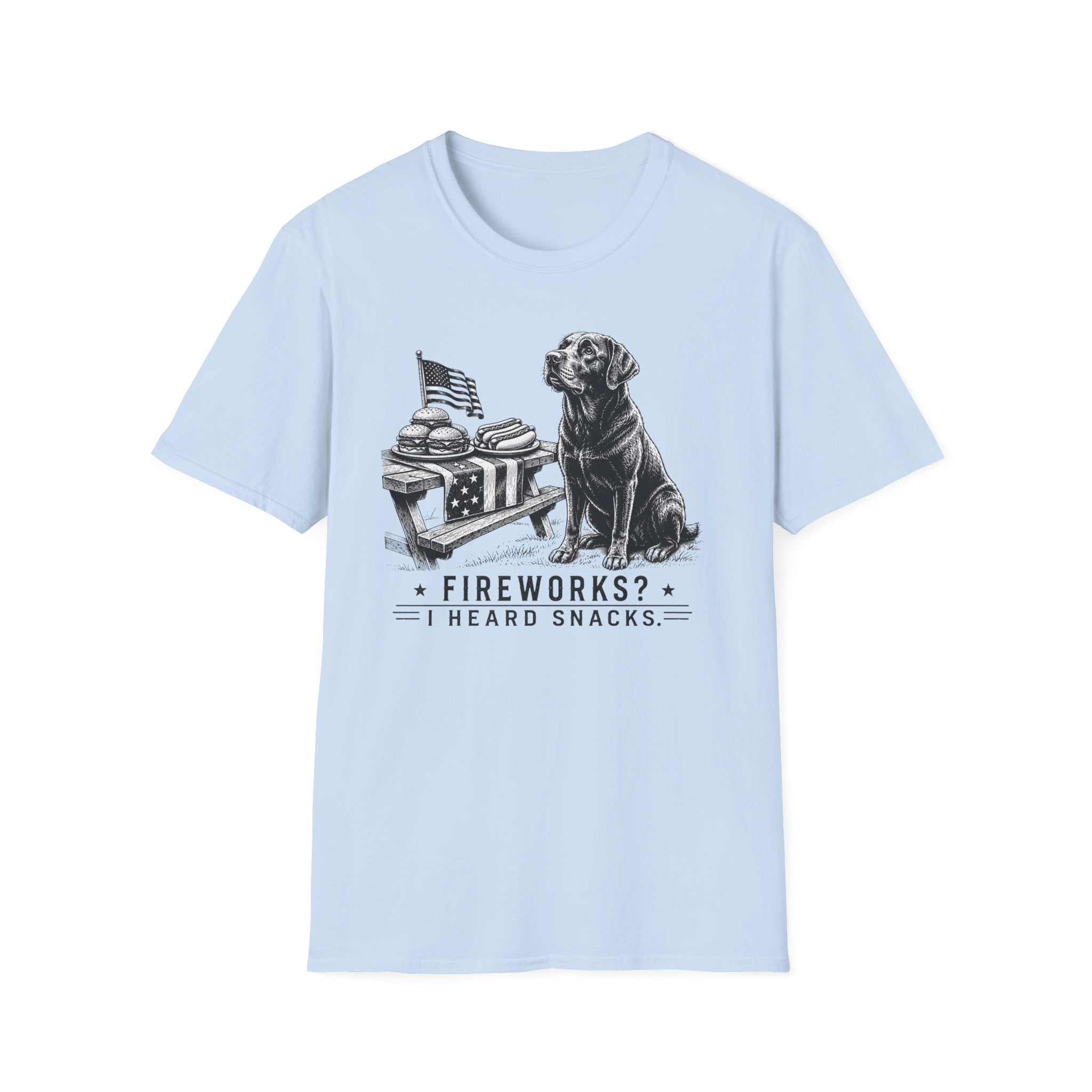 Fireworks? T-Shirt