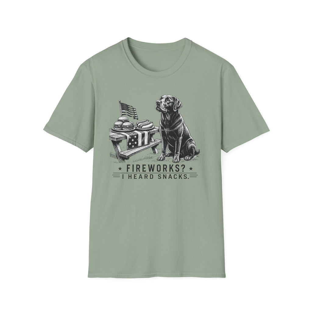 Fireworks? T-Shirt