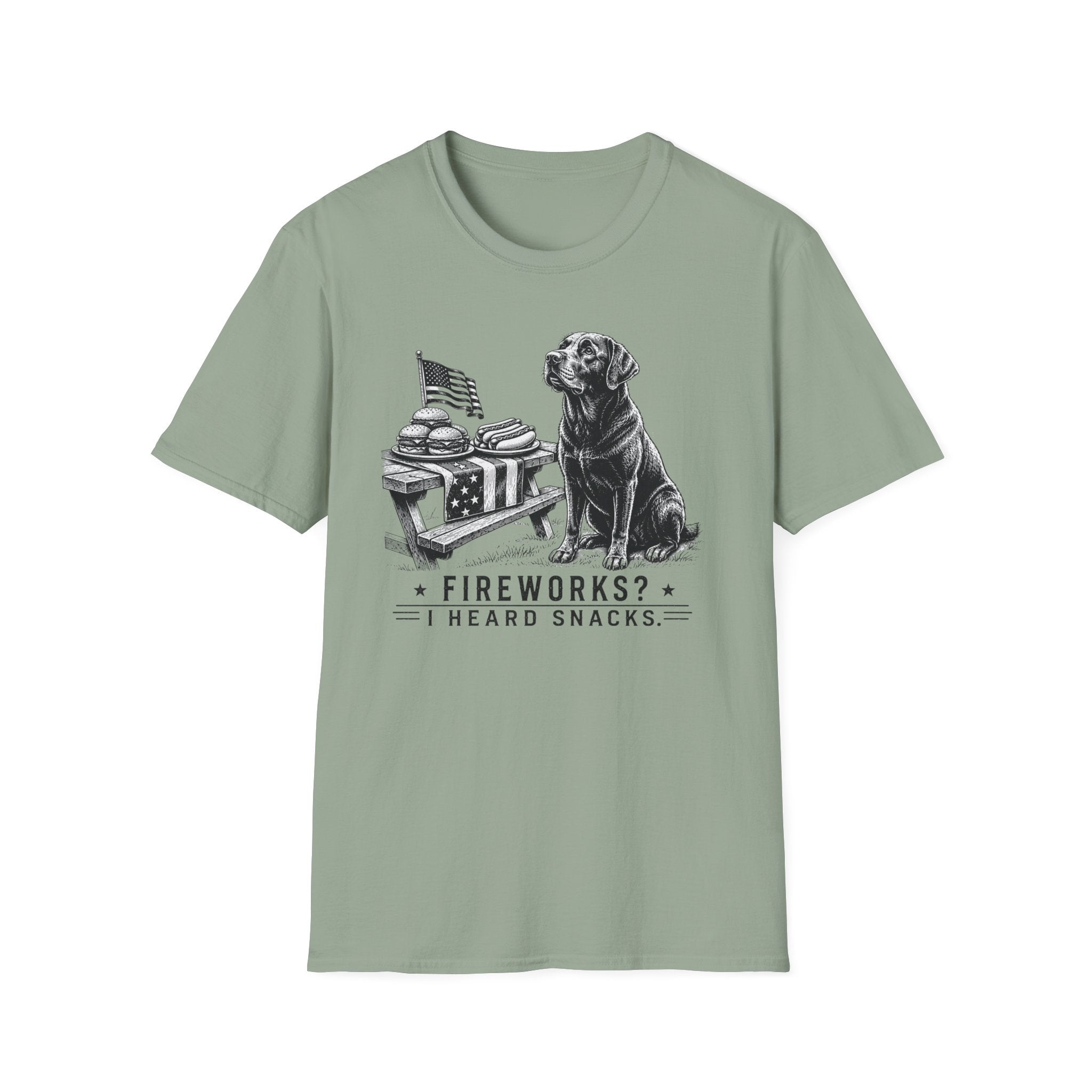 Fireworks? T-Shirt