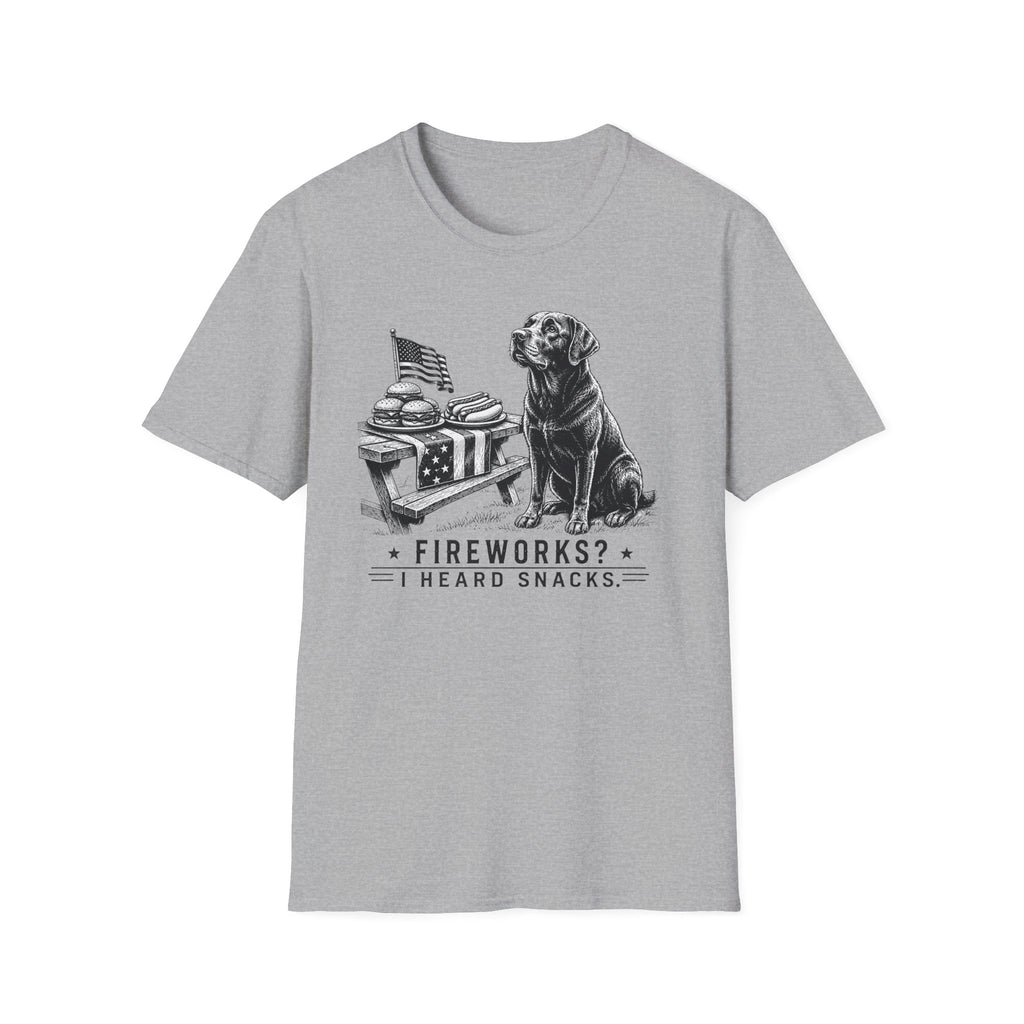 Fireworks? T-Shirt